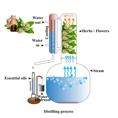 extraction of perfume from plants.